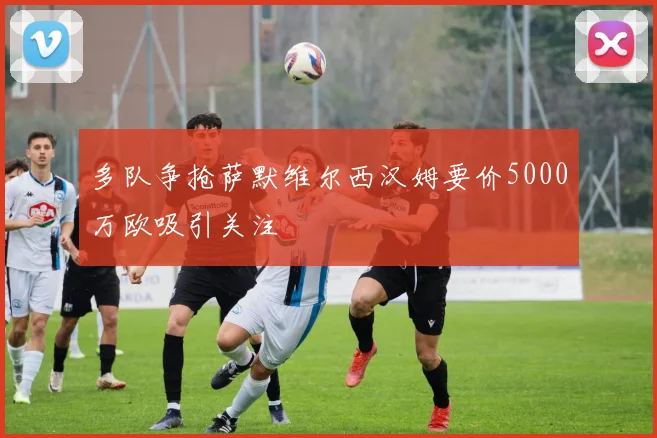 多队争抢萨默维尔西汉姆要价5000万欧吸引关注